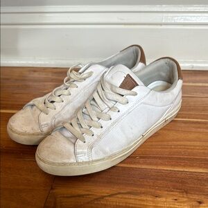 Steve Madden Finneas Casual Sneakers
